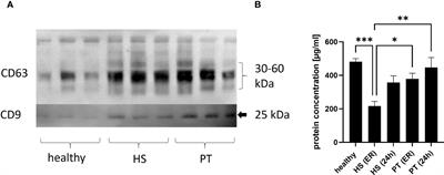 CD44+ and CD31+ extracellular vesicles (EVs) are significantly reduced in polytraumatized patients with hemorrhagic shock – evaluation of their diagnostic and prognostic potential